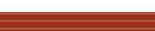 USCAA Logo